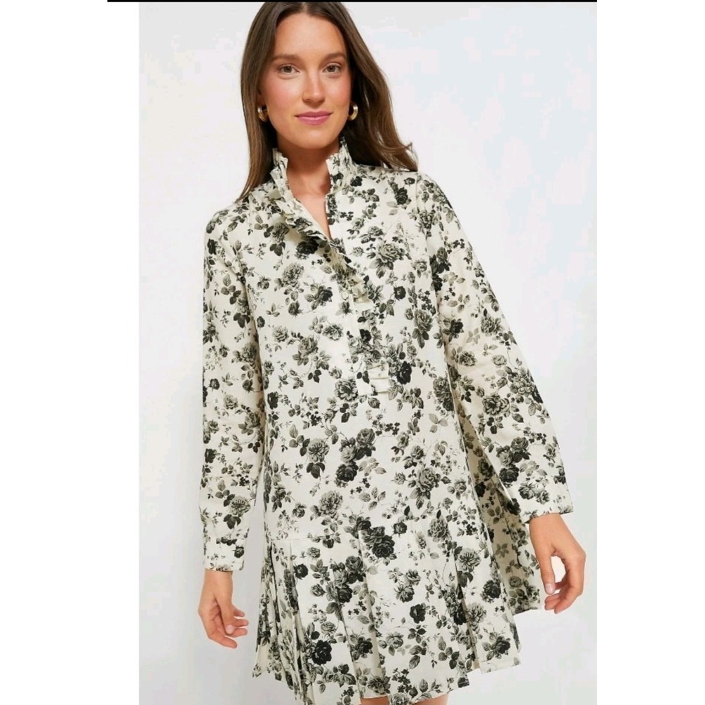 Tuckernuck Faded Roses Tate Dress Floral Drop Waist Mini Dress Ruffle Neck M